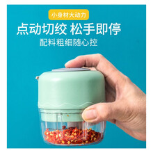 小猪帮厨电动绞肉机绞馅机切蒜末捣蒜泥绞蒜器迷你家用小型婴儿辅食料理碎菜器多功能切姜切菜碎肉打馅机 标准款绞蒜版【嫩芽绿100ml 】