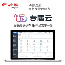 畅捷通 T+ 专属云V15.0  用友ERP财务软件 云进销存 一体化 企业管理软件 标准版 套餐一 商用