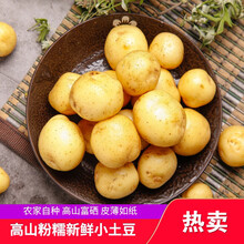 梓乐果 21新鲜土豆农家炕洋芋湖北马铃薯黄心9斤恩施高山迷你小土豆 2500g