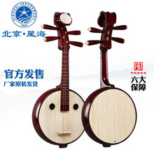 （JINGXUAN)星海 小阮乐器初学者入门硬木钢品酒红色花开富贵头饰小阮8570
