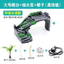 爬将军乌龟晒台爬台龟缸造景高水位浮岛爬坡巴西龟晒背台洞屋躲避晒龟台 大号环保水漆晒台+抽水泵+椰子（鲜活）