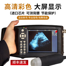 猪博士 彩色高清兽用b超机猪用B超便携式怀孕诊断仪母猪动物牛羊测孕超声波 可测背膘