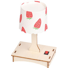 通用技术高中作品科技小制作小学生手工作品科学手工作业台灯 小台灯50套