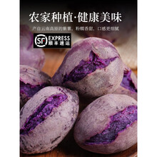 【顺丰速运】云南小紫薯新鲜现挖5斤蜜薯农家沙地紫心番薯紫薯【坏果包赔】 3斤 中果