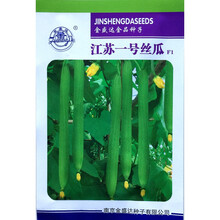 江苏一号特长丝瓜种子油绿薄皮嫩肉超长高产抗热农家春秋播种精选 江苏一号丝瓜原装10克x5袋