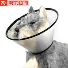CHUKCHI楚克奇伊丽莎白圈宠物防咬防抓挠狗猫咪脖圈喷药涂药防止舔舐 7#调节范围19.5-22.5CM