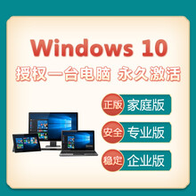Win10微软正版windows10家庭版/专业版/企业版WIN10软件windows10软件系统 普票 Win10专业版【实物发顺丰】