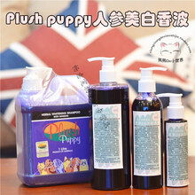 (畅意宠物生活)澳洲Plush Puppy比熊泰迪强效护毛素柔顺蓬松PP猫狗狗香波沐浴液 分装250ML人参美白香波