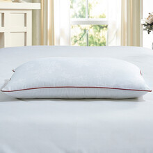 诗贝妮蚕丝枕100%桑蚕丝枕头枕芯单人安睡枕头芯颈椎枕 低枕(32x55)蚕丝300克