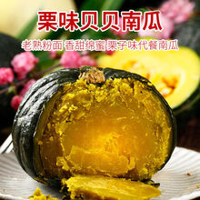 正宗贝贝南瓜板栗味迷你小南瓜粉糯香甜软孕妇宝宝辅食山东老南瓜 【实惠装】正宗贝贝南瓜5斤装