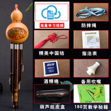 云南紫竹葫芦丝演奏D调中小学生初学成人降b调 演奏款G调+皮盒+自学宝典(大调低音)