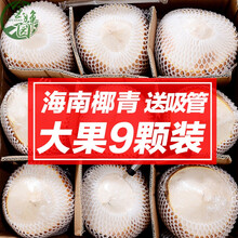 海南9个去皮青香水椰子应当季新鲜孕妇水果整箱
