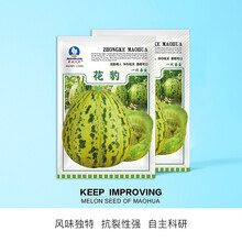 （正常发货）中科茂华水果瓜果蔬菜种子杂交花豹甜瓜种子花皮绿肉花蕾八里香类型香瓜种子薄皮脆肉超甜超酥 花豹甜瓜种子100粒/袋
