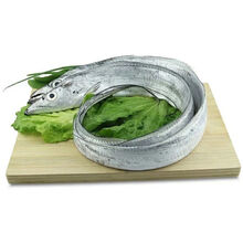 海鲜鱼无冰带鱼 特大带鱼批发整条小眼带鱼 鲜活 9斤装 1斤约2条东海舟山油带鱼