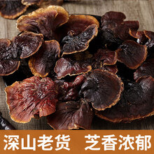 【精选】高品质西藏桑树桑黄 赤紫灵芝整个正宗长白山中药材肺部节西藏桑黄捛招山灵芝 山采赤灵芝500g【约30个】