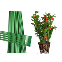 元井  金钱树支架蔬菜瓜果爬藤架兰花月季花架花卉植物龟背竹固定支撑杆 10根（60cm长*3mm细）