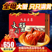 【活蟹】阳澄清歆大闸蟹 鲜活特大螃蟹现货 活蟹公蟹可全母蟹活体 海鲜水产生鲜礼盒 精品全母蟹套餐4.5-4.8两   八只礼盒装