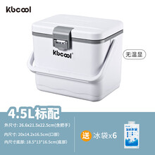 楚歌质优品 背奶包母乳冷藏箱便携式冰包母乳储奶冷冻箱上班保鲜运输装备 4.5L白无表宋6冰袋