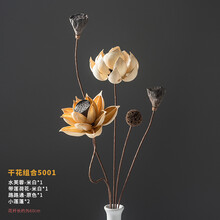 干花花束真花装饰摆件荷花风干莲蓬天然莲藕禅意插花中式客厅摆设 干花组合5001【禅意素雅组合】 干花包