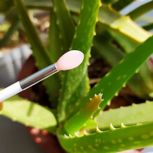 【盒装】硅胶唇刷便携款唇膜刷唇膏刷涂抹棒涂抹棒化妆刷套装唇刷 樱花粉 2支 送 1个收纳盒