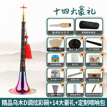 宏艺凤鸣专业黑檀乌木唢呐D调精品唢呐民族风吹奏唢呐乐器全套 精品乌木D调炫彩碗+12大豪礼+定制唢呐包