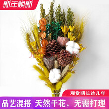 棠溪塘 干花松果 棉花尤加利叶干花北欧风家居装饰摆件ins小清新壁挂花束 D1紫
