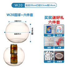 金鱼缸玻璃生态鱼缸水族箱客厅小型桌面乌龟缸创意迷你家用小鱼缸 20圆球+6件套