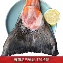 渔哥戏鱼 新鲜三文鱼尾 4斤装 三文鱼边角料煲汤香煎鱼尾巴 2000g