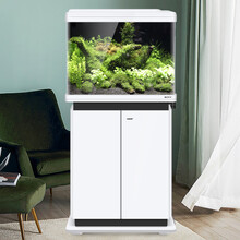 【多仓发货】博宇生态金鱼缸变色水族箱客厅小型迷你造景水草灯乌龟缸草缸免换水办公室孔雀热带鱼 白带柜60长32宽122高 智能液显变色 鱼缸标配+造景套餐