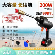 无线锂电洗车机家用高压洗车神器洗车水枪锂电电动免插电 200W单电池+泡沫壶+双喷头+长水枪