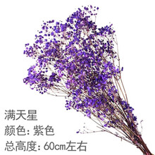 麦穗稻谷干花花束小麦穗装饰品水稻穗大麦装饰 紫色 满天星一束