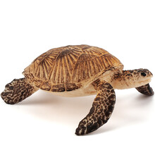 玛奇乐（MECHILE）仿真海洋动物模型玩具男孩女孩儿童早教认知海洋世界玩具儿童生日礼物 小海龟