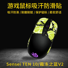 鼠标贴 用于赛睿SenseiTen10/霜冻之蓝V2通用 游戏鼠标吸汗防滑贴 玛雅图腾系列 保护鼠标 图腾炫彩12