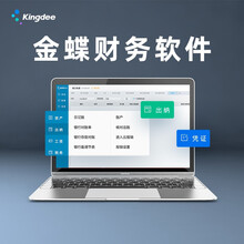 金蝶（kingdee）精斗云云会计V3 金蝶财务软件 小企业会计做账记账软件网络版20帐套7用户