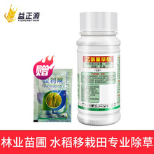 戈击 林用惠尔乙氧氟草醚针叶苗圃云杉白皮松树杉树针叶作物专用阔叶杂草杉树林地封闭除草剂农药农资店 100毫升*50瓶/件