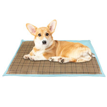 贝尼宠 狗凉席夏季 狗窝金毛拉多边牧宠物泰迪狗垫子窝 蓝色凉席XL