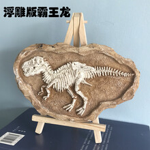 恐龙化石考古挖掘玩具大号霸王龙剑龙翼龙模型摆件儿童手工3-6-9 浮雕版  霸王龙