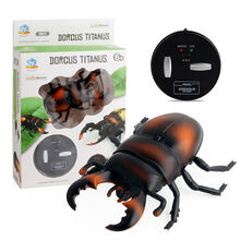 稚气熊 整蛊玩具遥控蜘蛛男孩电动玩具吓人仿真蟑螂蚂蚁昆虫动物蜈蚣蛇 遥控甲虫-棕 标配