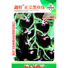 鑫特正宗黑珍珠番茄种子口感好超甜油亮硬果高产抗病农家春秋播种 鑫特正宗黑珍珠原装1000粒x5袋