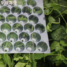 益民手抛育秧盘水稻人工抛秧晚稻育苗盘塑料抛秧434孔353孔561孔 加厚434育秧盘 500片装