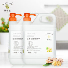 狮子王巴布生姜去腥洗洁精 餐具净1.1kg*2瓶  清爽去味 不伤手