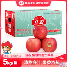 佳农烟台红富士苹果 5kg装 特级果 单果240g 礼盒装 新鲜水果