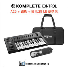 NI KOMPLETE KONTROL M32/A25/A49/A61 MIDI键盘编曲控制合成器 A25+踏板+琴包