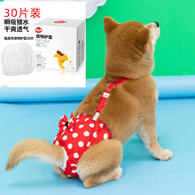 柴犬生理裤狗狗生理裤女狗安全裤卫生裤柴犬姨妈裤母狗防骚扰可大便柯基狗柴犬生理裤 蝴蝶结生理裤+30片护垫 超值套餐 M号适合9-14斤