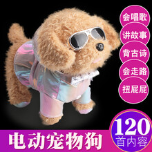 儿童电动毛绒玩具狗狗走路会叫会唱歌机器狗会说话的仿真泰迪小狗生日礼物抖音网红同款 拉风泰迪狗 【送电池】120首歌曲+故事