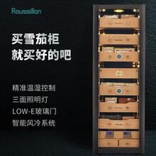 Roussillon/鲁西荣 雪茄柜 恒温恒湿雪茄柜 雪茄柜小  雪茄柜恒温保湿 雪茄柜保湿柜 恒温 黑钛拉丝XN128i 1200支 尊贵版