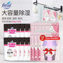 花仙子衣柜香氛干燥剂200g*10 克潮灵室内学生宿舍挂式吸湿防霉防潮活性炭除湿袋 活性炭200g*10