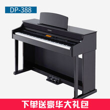 Medeli 美得理 DP-388 电钢琴88键重锤钢琴 初学智能电钢 DP-388(黑色) 官方标配