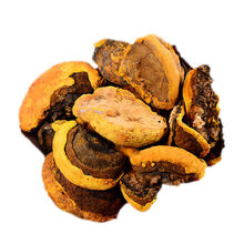 野生桑黄灵芝正宗西藏桑树桑黄野生天然整枝西藏金边桑黄100g 野生西藏金边桑黄100克