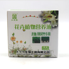 龙血树龙须凤尾竹专用营养液茱蕉观音竹孝顺竹盆栽通用有机液体肥 4盒31元